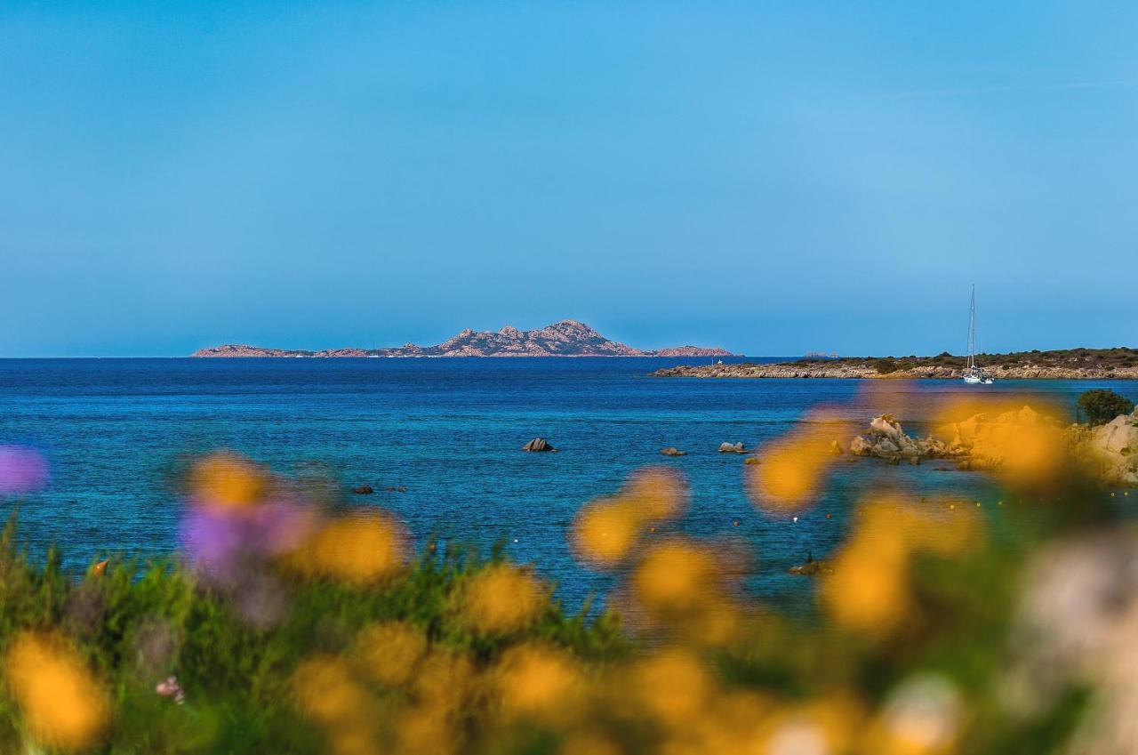 Appartamenti Marineledda Golfo Di Marinella Golfo Aranci Kültér fotó
